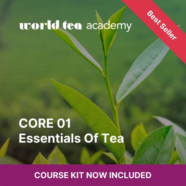 CORE 01: Essentials of Tea Course