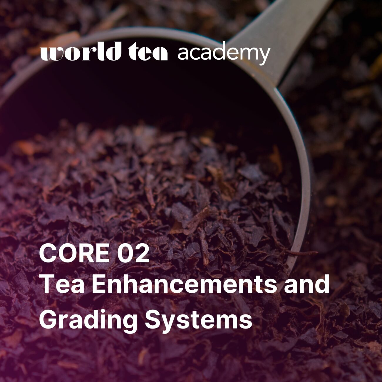 CORE.02 Tea Enhancements and Grading Systems World Tea Academy