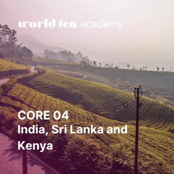 World Tea Academy Online Tea Education and Certification