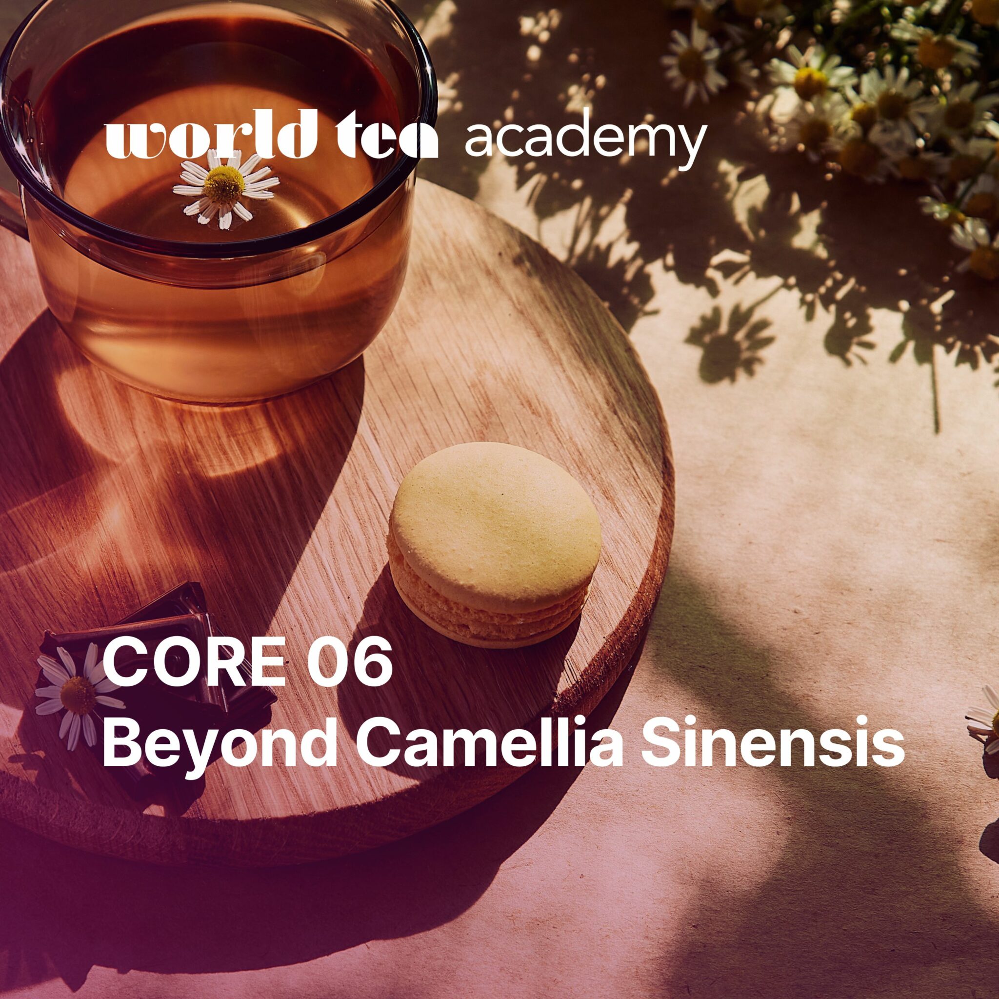 World Tea Academy Online Tea Education and Certification