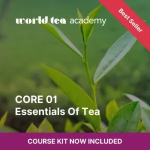 CORE 01: Essentials of Tea Course