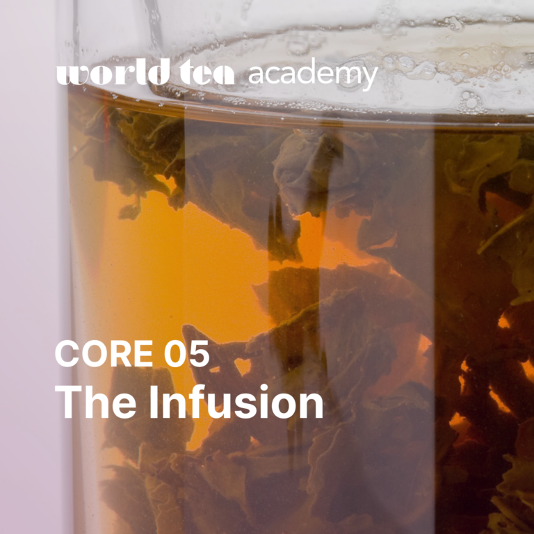 Becoming Tea How to Become a Certified Tea Professional? – World Tea Academy