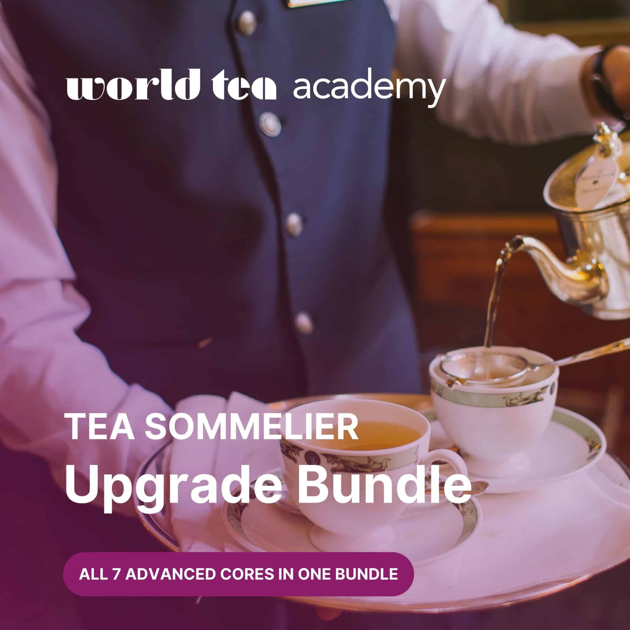 World Tea Academy: Advanced Tea Sommelier Upgrade Bundle – World Tea ...